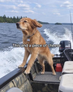 1790460739259.png