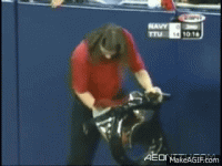 1790469409862.gif
