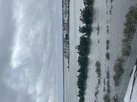 IMG_5530.jpeg IMG_5530.jpeg