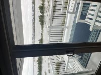 IMG_5533.jpeg IMG_5533.jpeg