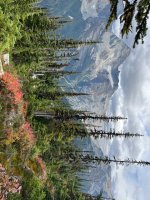 Abbott Ridge Trail.jpeg