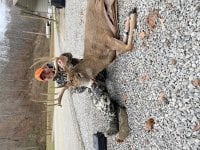 IMG_5137.jpeg