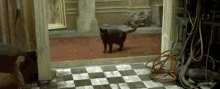 1790715930762.gif 1790715930762.gif