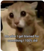 1790799964175.png