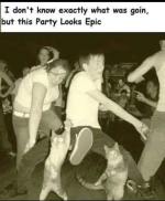 1790907799402.png