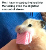 1790957876102.png
