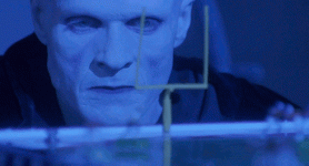 IMG_0610.gif