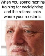 1790999000907.png