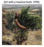 1790999168865.png