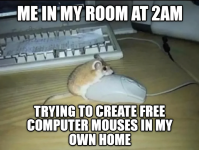 1791126730876.png