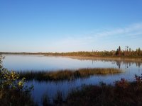 20250929_084435.jpg 20250929_084435.jpg