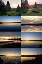 20250725_210458-COLLAGE.jpg 20250725_210458-COLLAGE.jpg