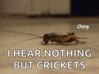 1791200469314.gif 1791200469314.gif