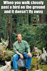 1791212016674.png