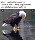 1000002968.png
