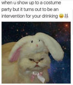 1791253891585.png