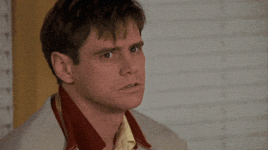 giphy.com-media-BjeiL8WnqByKY-giphy-downsized.gif