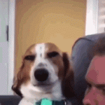 1791316663204.gif