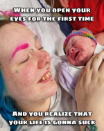 1791332391520.png