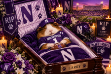 479A43EA-F9D9-46E3-BD3F-8FBF51532006.png