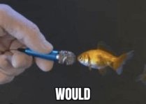 IMG_1841.jpeg