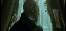 IMG_3669.gif