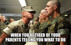 1791487418463.png