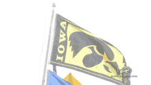1791521348611.gif 1791521348611.gif