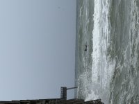 IMG_4233.jpeg