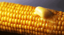 1791594697271.gif