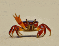 1791595536539.gif