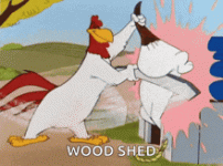 1791598374304.gif