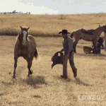 1791605063759.gif