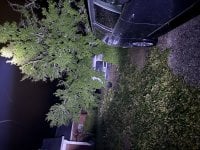IMG_4298.jpeg