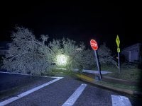 IMG_4290.jpeg
