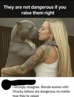 1791938405753.png