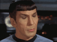 IMG_8300.gif