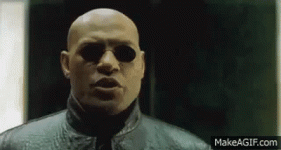 IMG_2740.gif