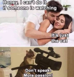 1792109419798.png
