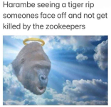 1792123352039.png