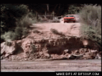 IMG_2860.gif