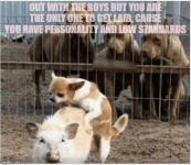 1792198900336.png