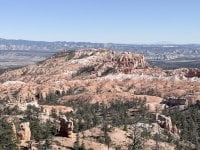 IMG_0393.jpeg