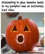 1000045025.jpg