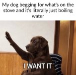1000045024.jpg
