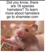 1000045038.jpg