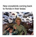 1000045039.jpg