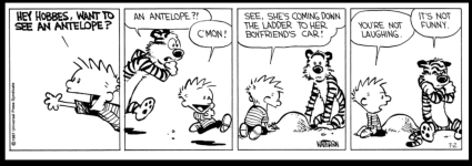 6C9615AE-5F47-4A84-90B4-CD44CFE43B6F.png