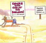 chicks with big breasts.jpg
