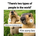 1792502926717.png